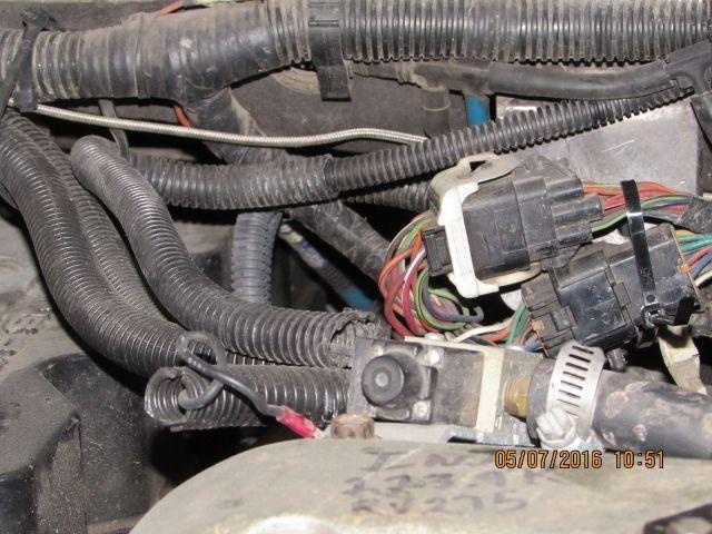 002 (640x480).jpg