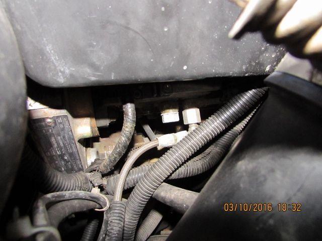 035 (640x480).jpg