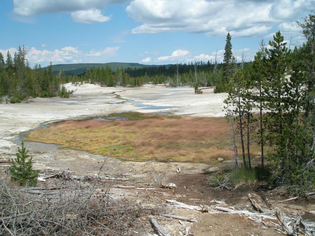 050.jpg