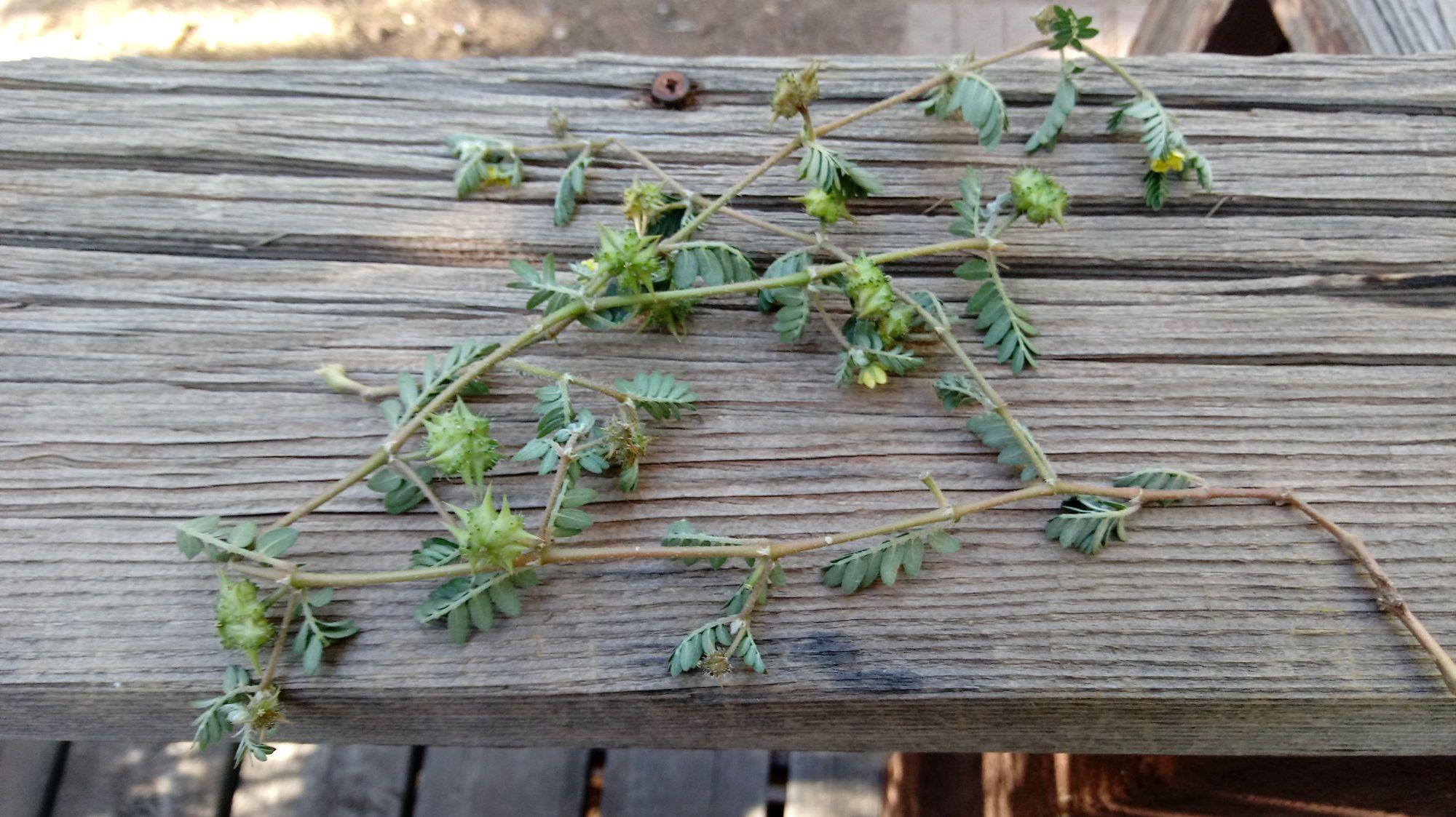 0910180755.jpg