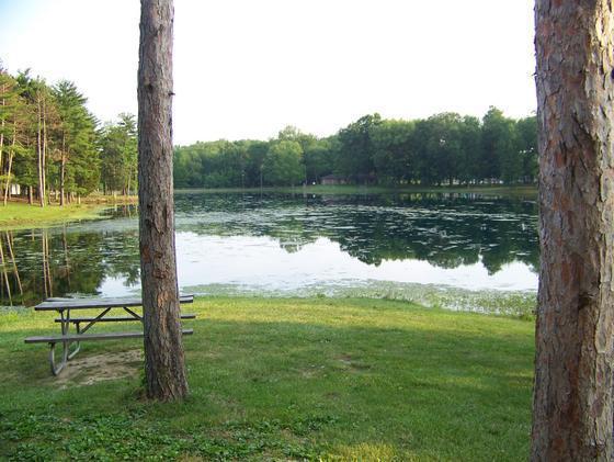 100_1557.jpg