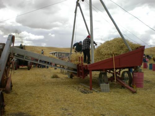 1_Threshing_table0001.JPG