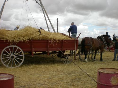1_Threshing_table0001_2.JPG