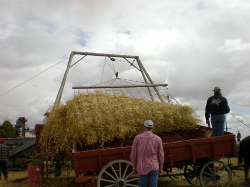 1_Threshing_table0001_5.JPG