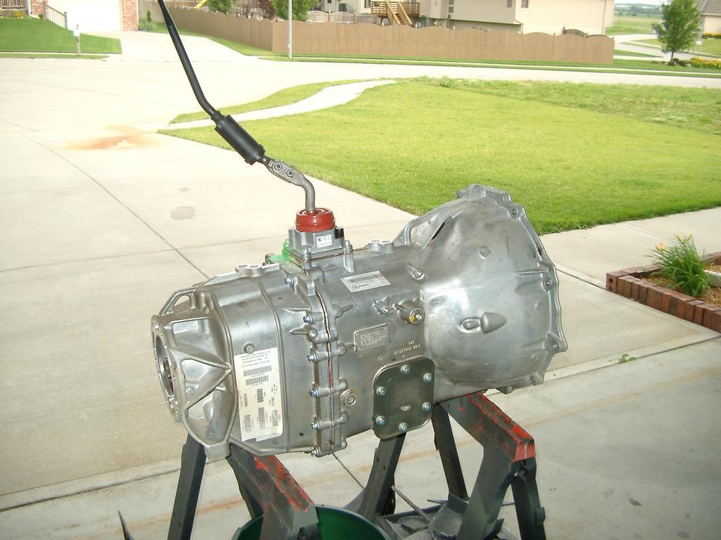 2010 155.jpg