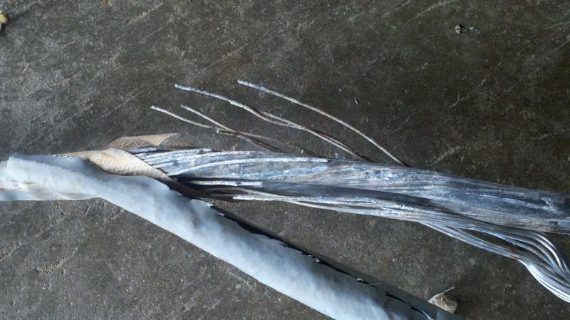 2013-09-10_14-54-44_127.jpg