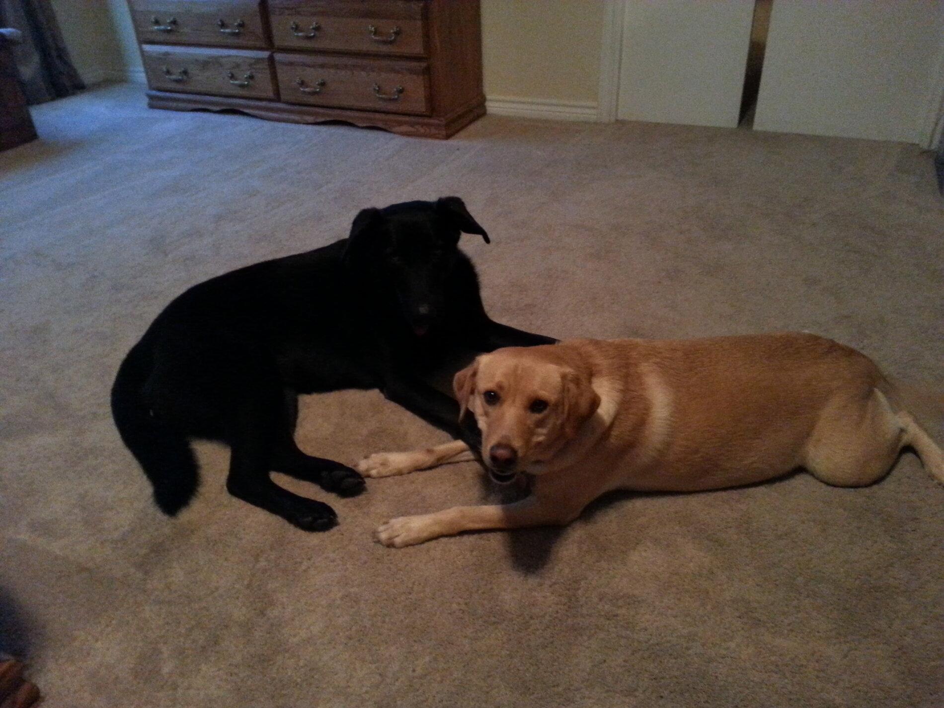 20130718_195004.jpg