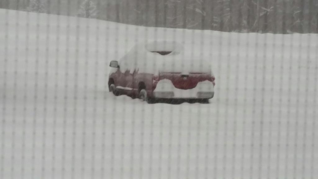20160123_084619.jpg