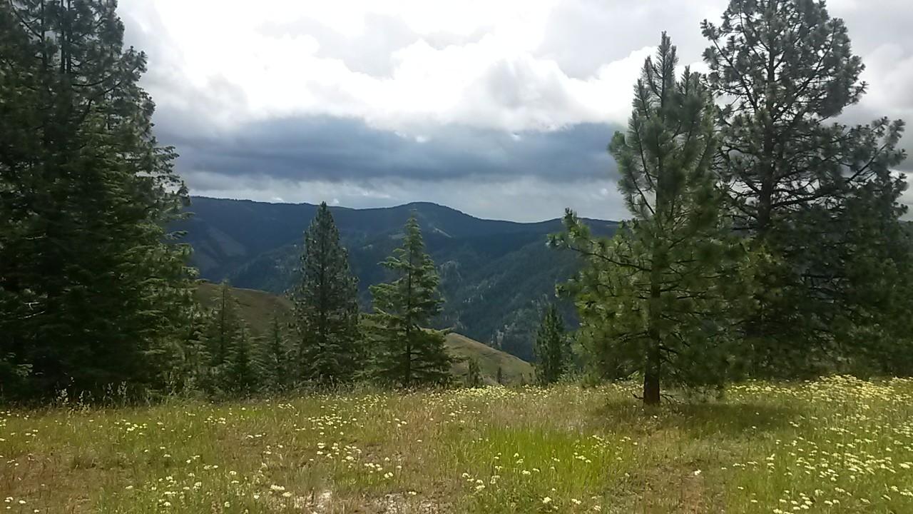 20160624_112622.jpg