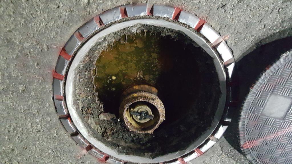 20170910_063201.jpg