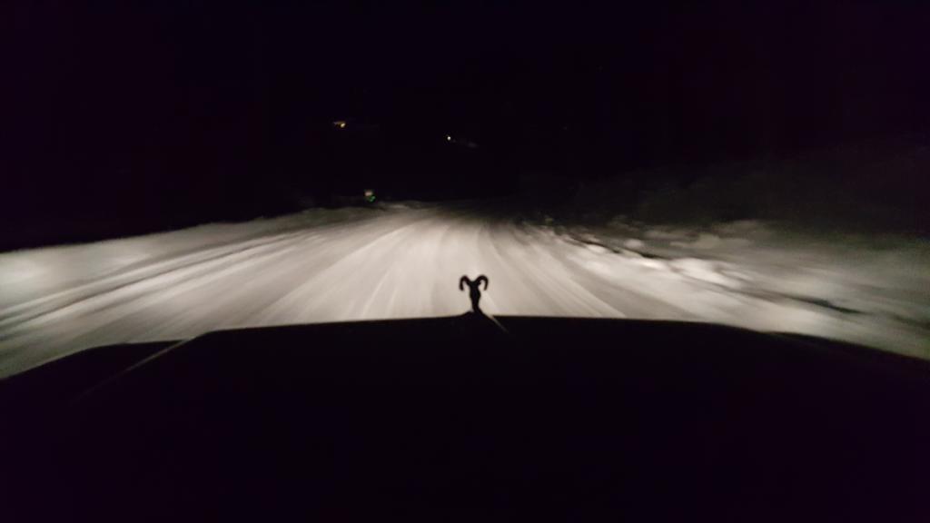20171207_072848.jpg