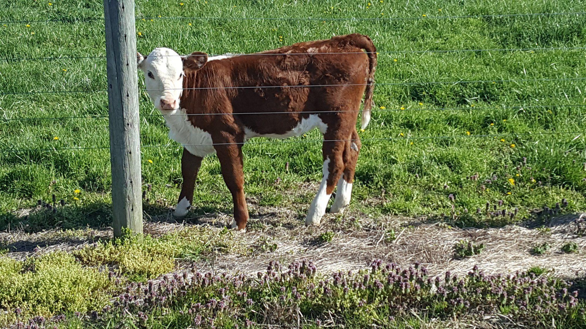 20180501_094535.jpg