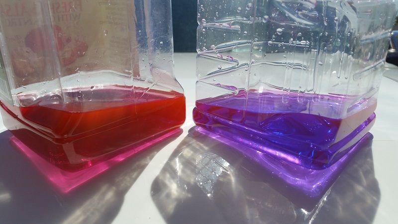 20180515_141553_800.jpg