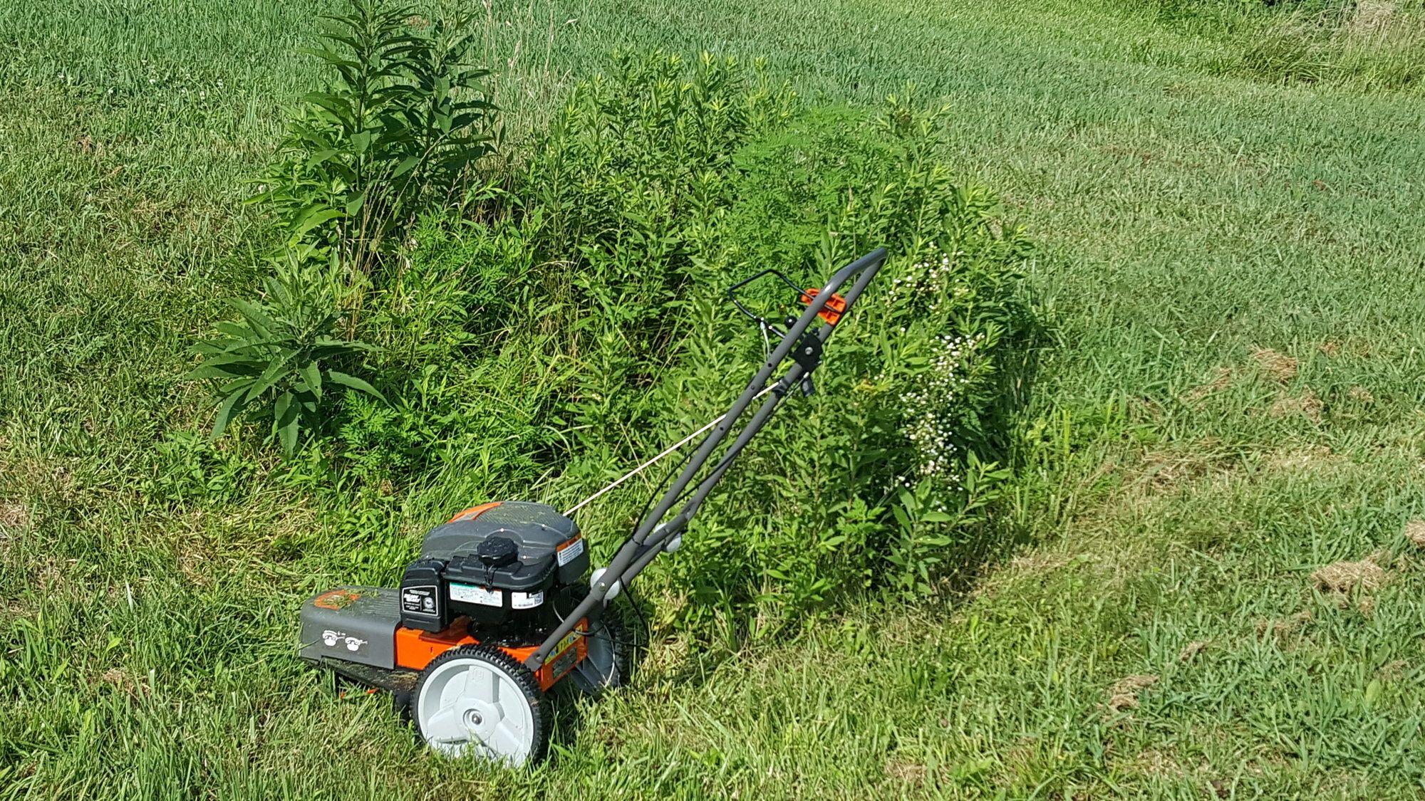 20180715_101221.jpg
