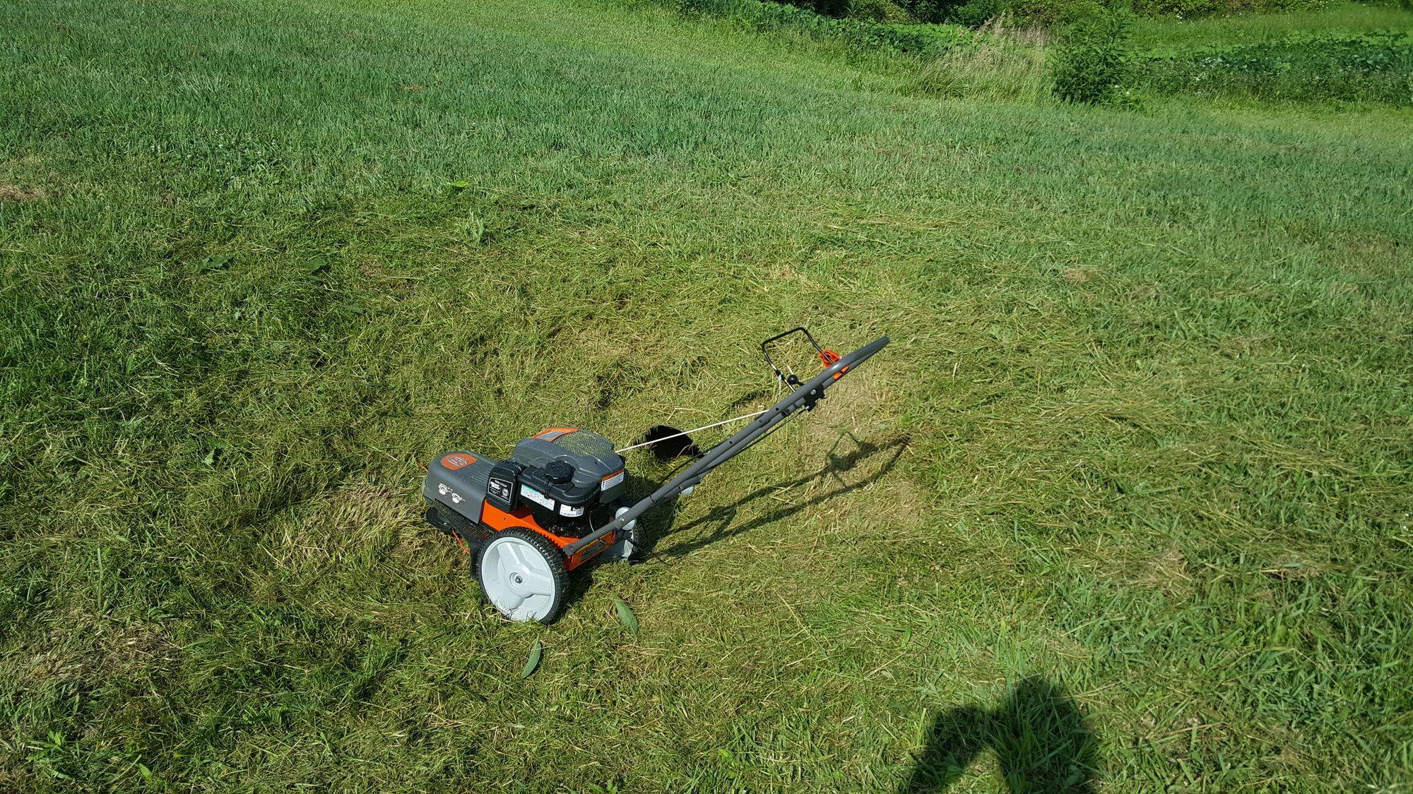 20180715_101612.jpg