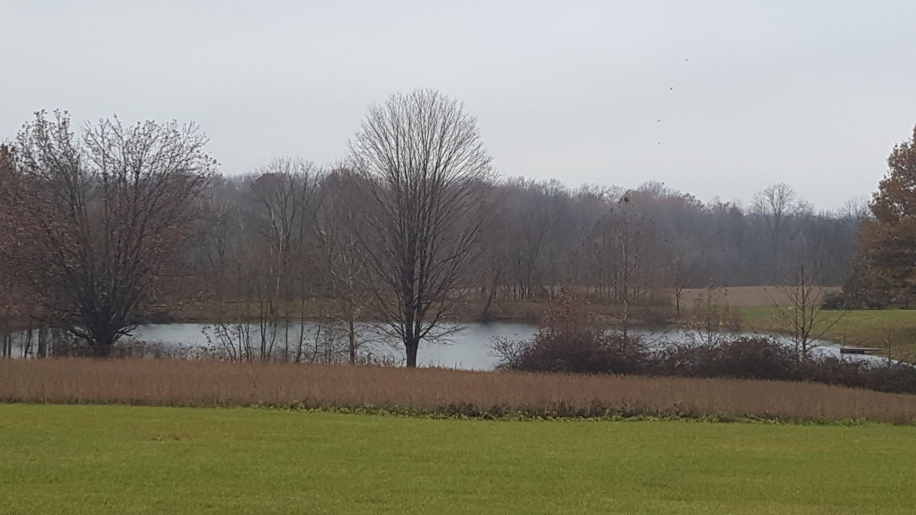 20181124_092903.jpg