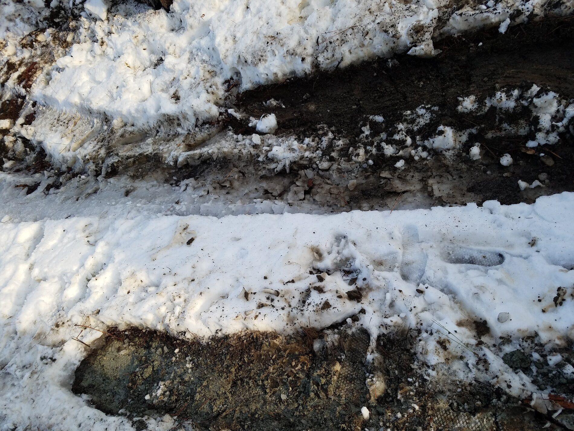 20190223_165508.jpg