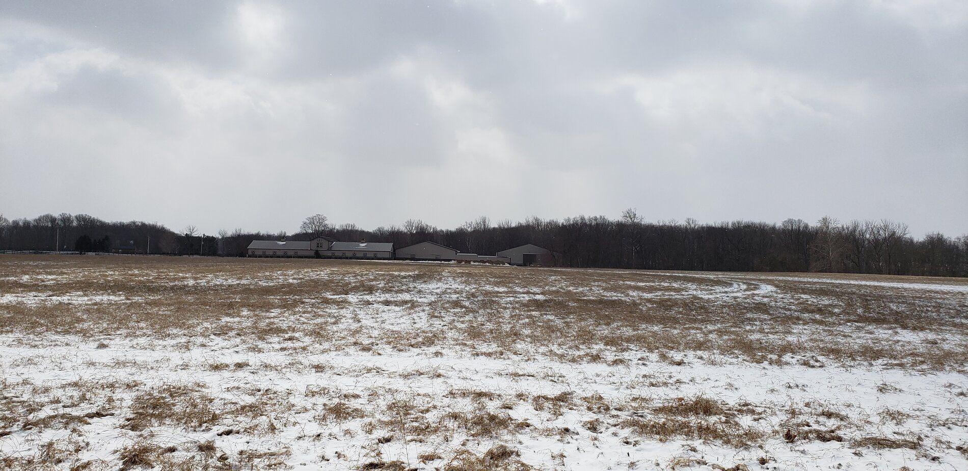 20190305_122315.jpg