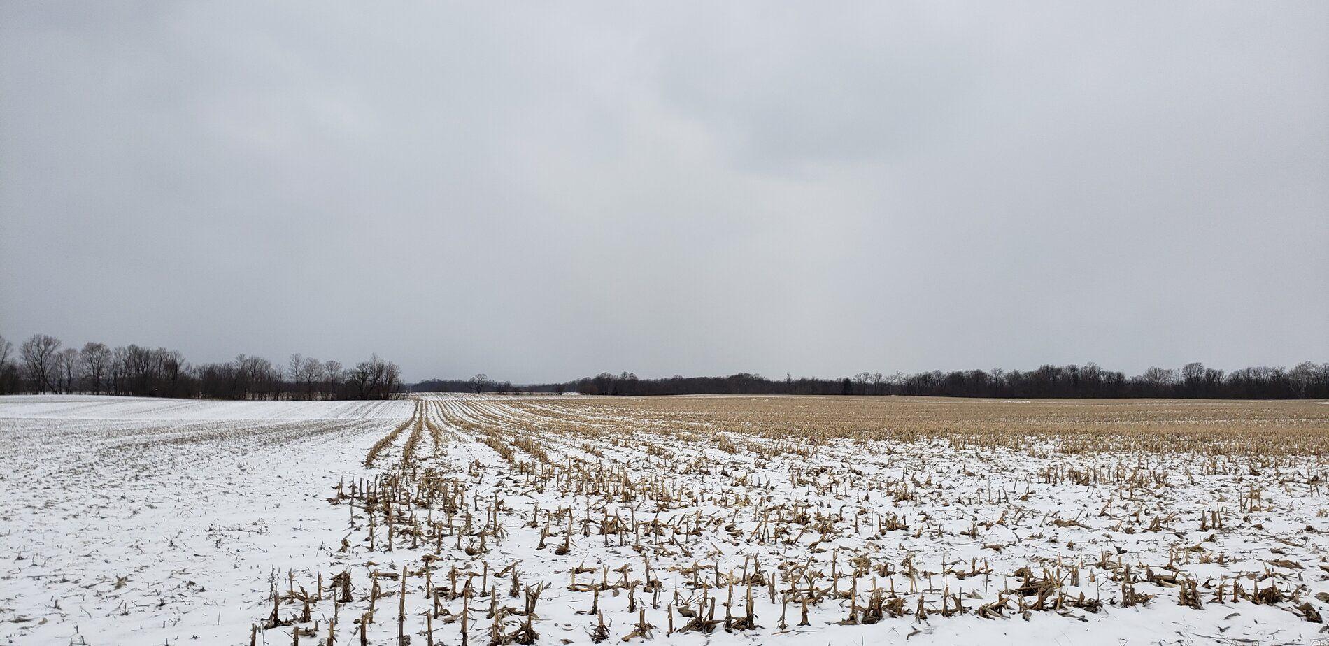 20190305_140246.jpg