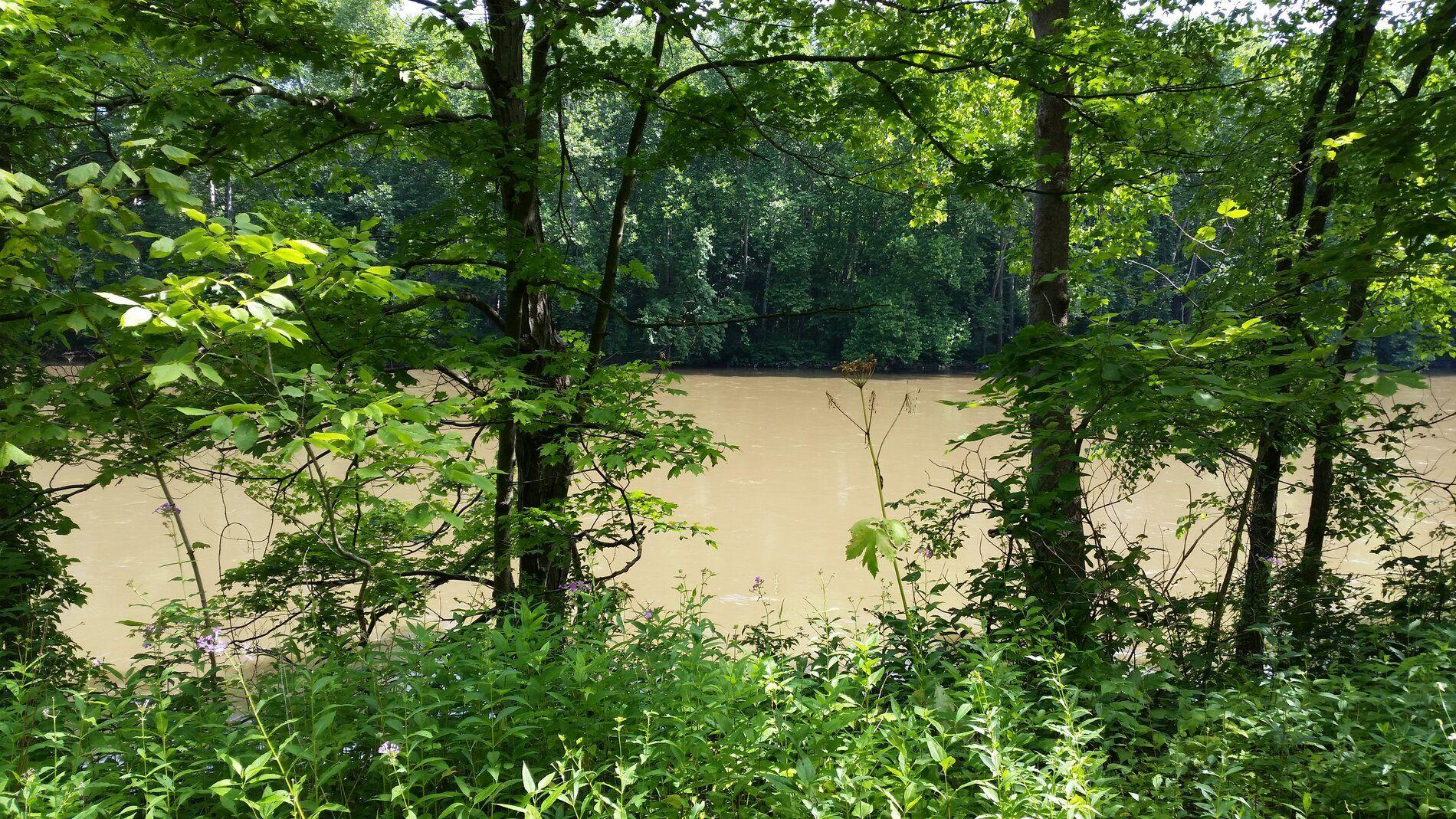 20190710_103348.jpg