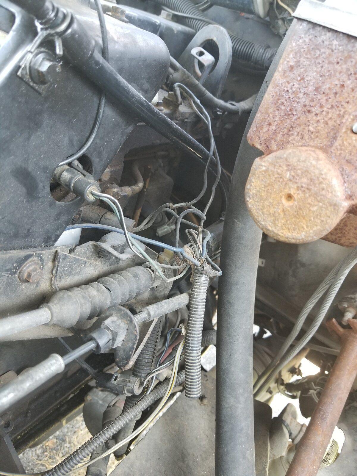 20190724_103244.jpg