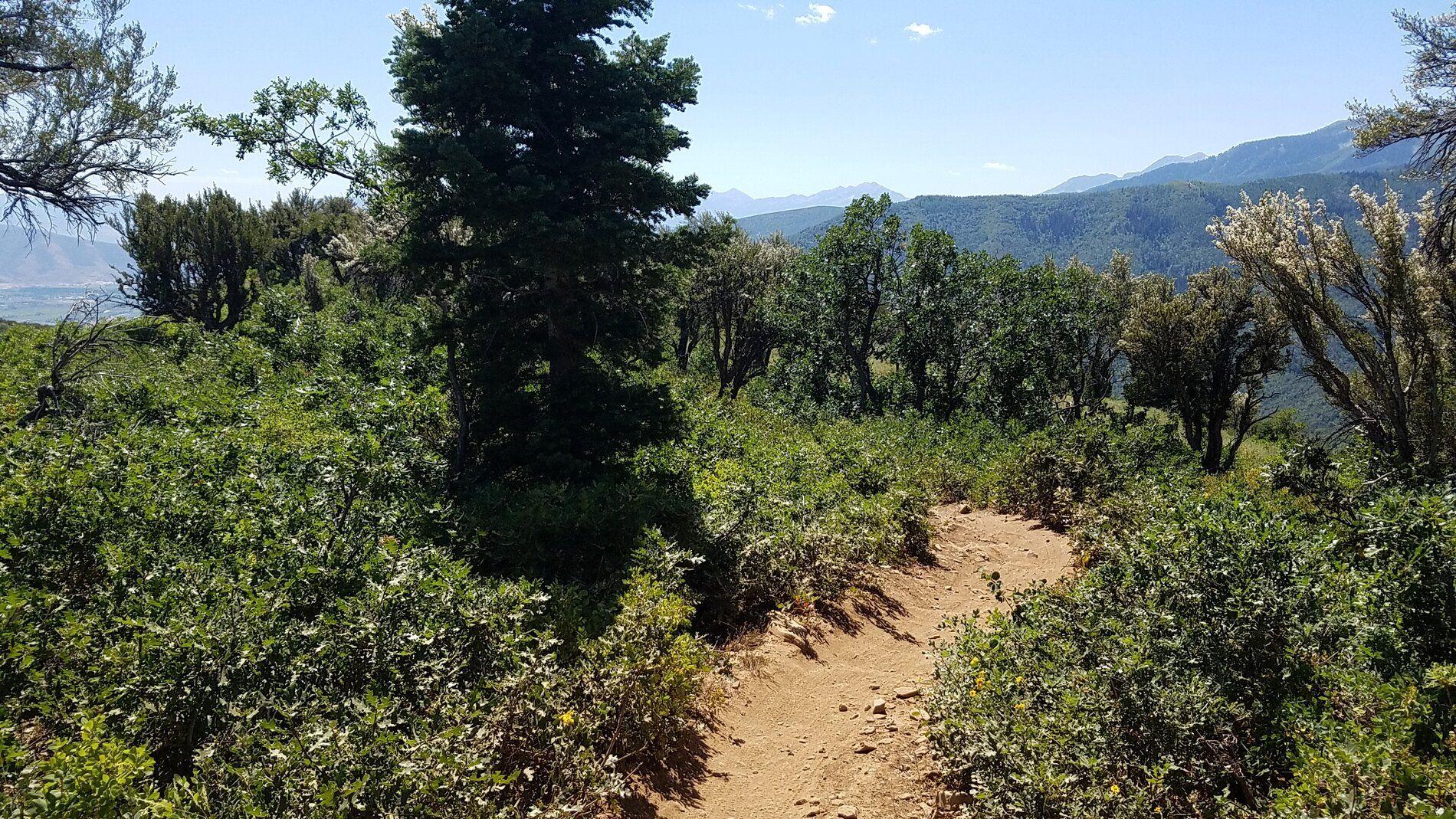 20190825_131408.jpg