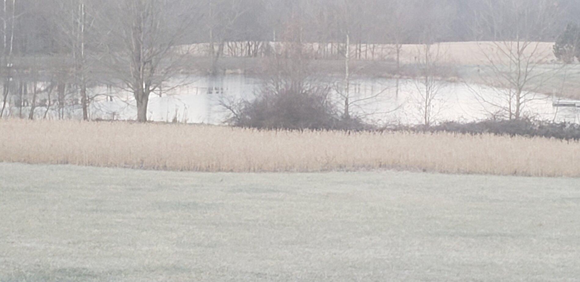 20191211_080404.jpg