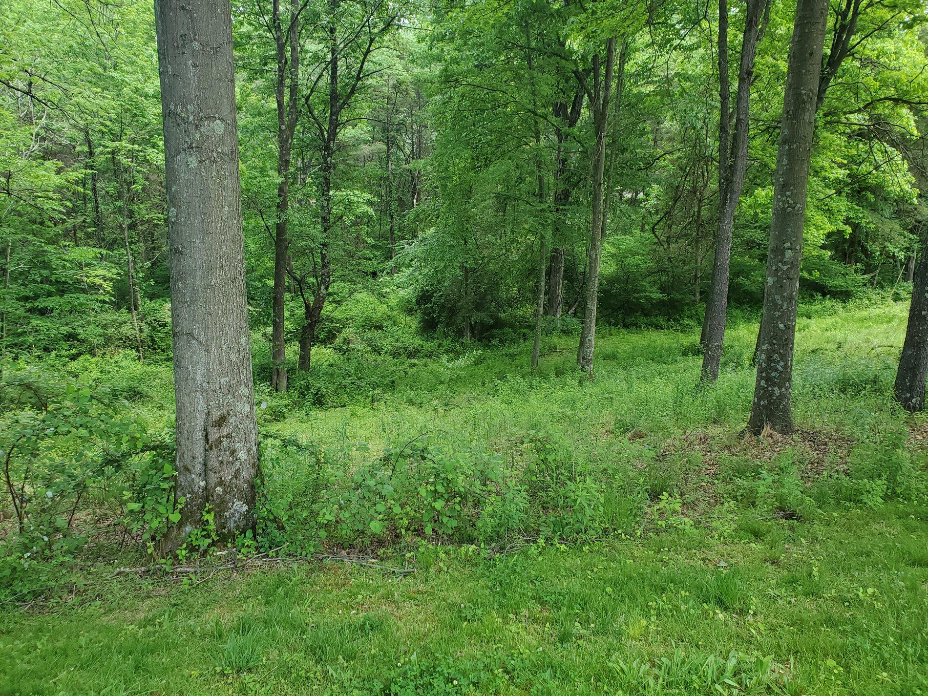 20200531_143520.jpg