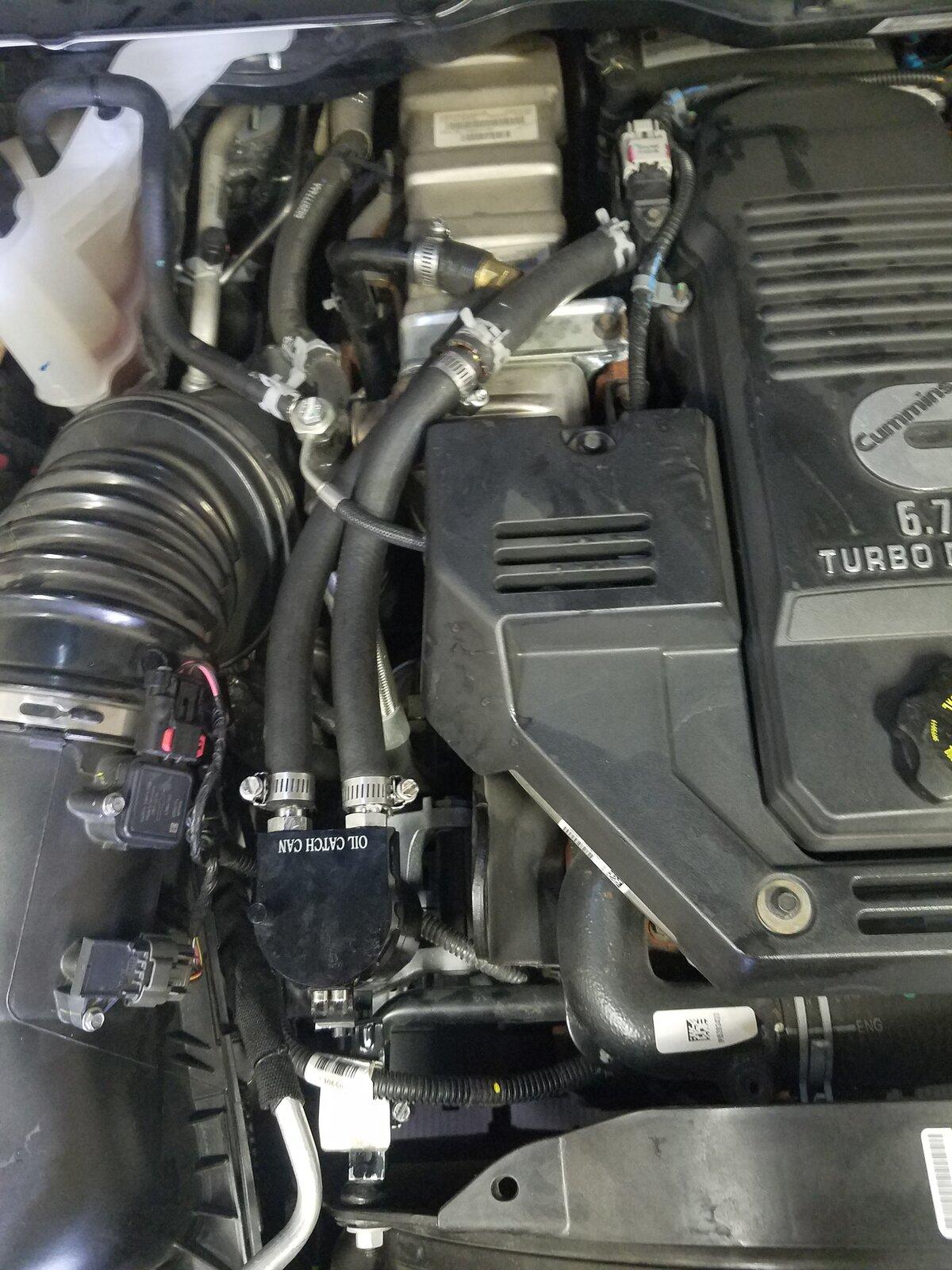 20200722_165029.jpg
