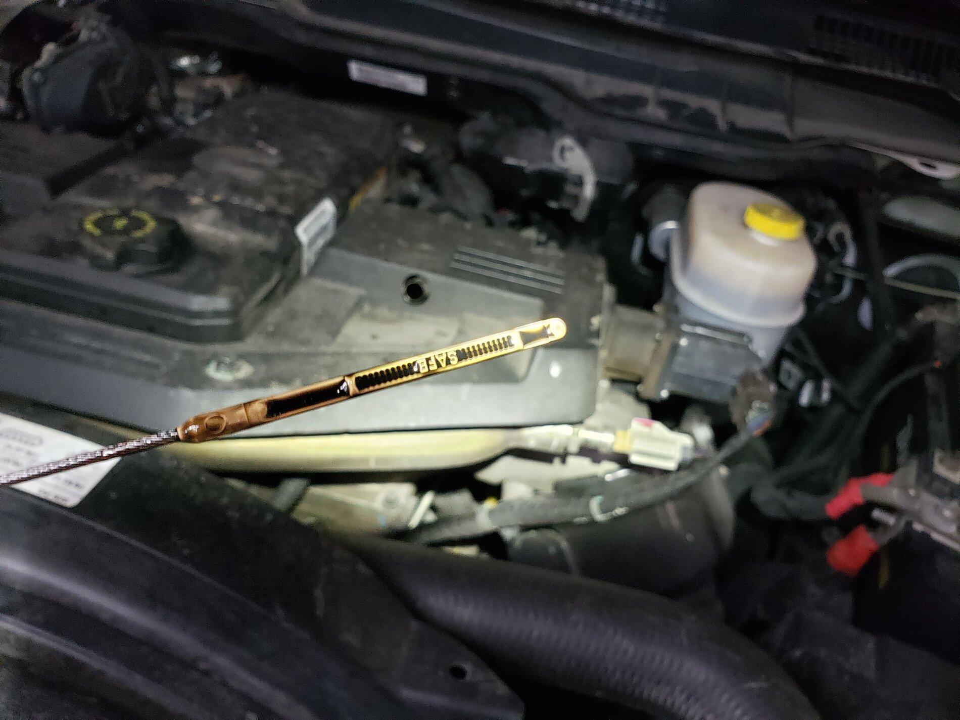 20201003_153137.jpg