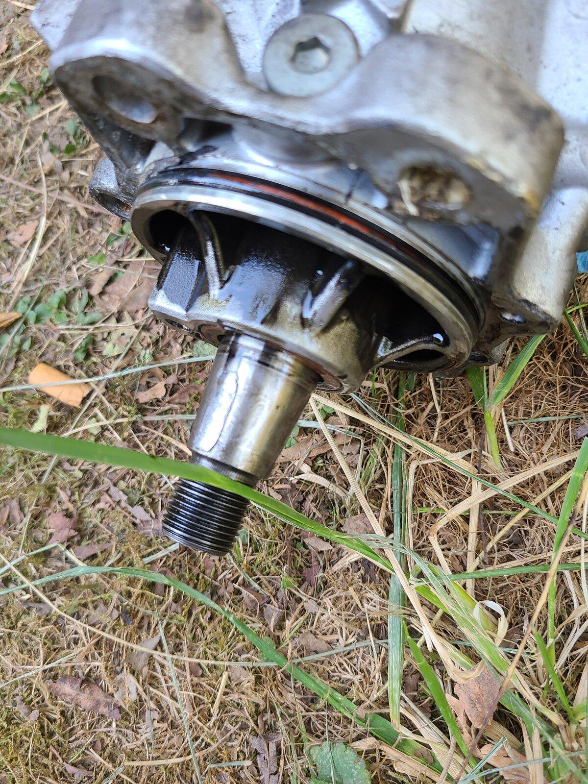 20201006_150258.jpg