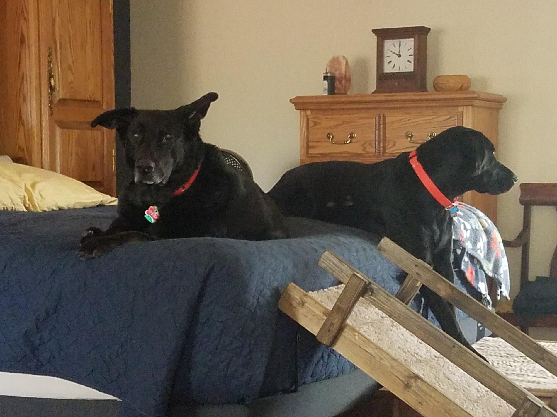 20201202_100134.jpg