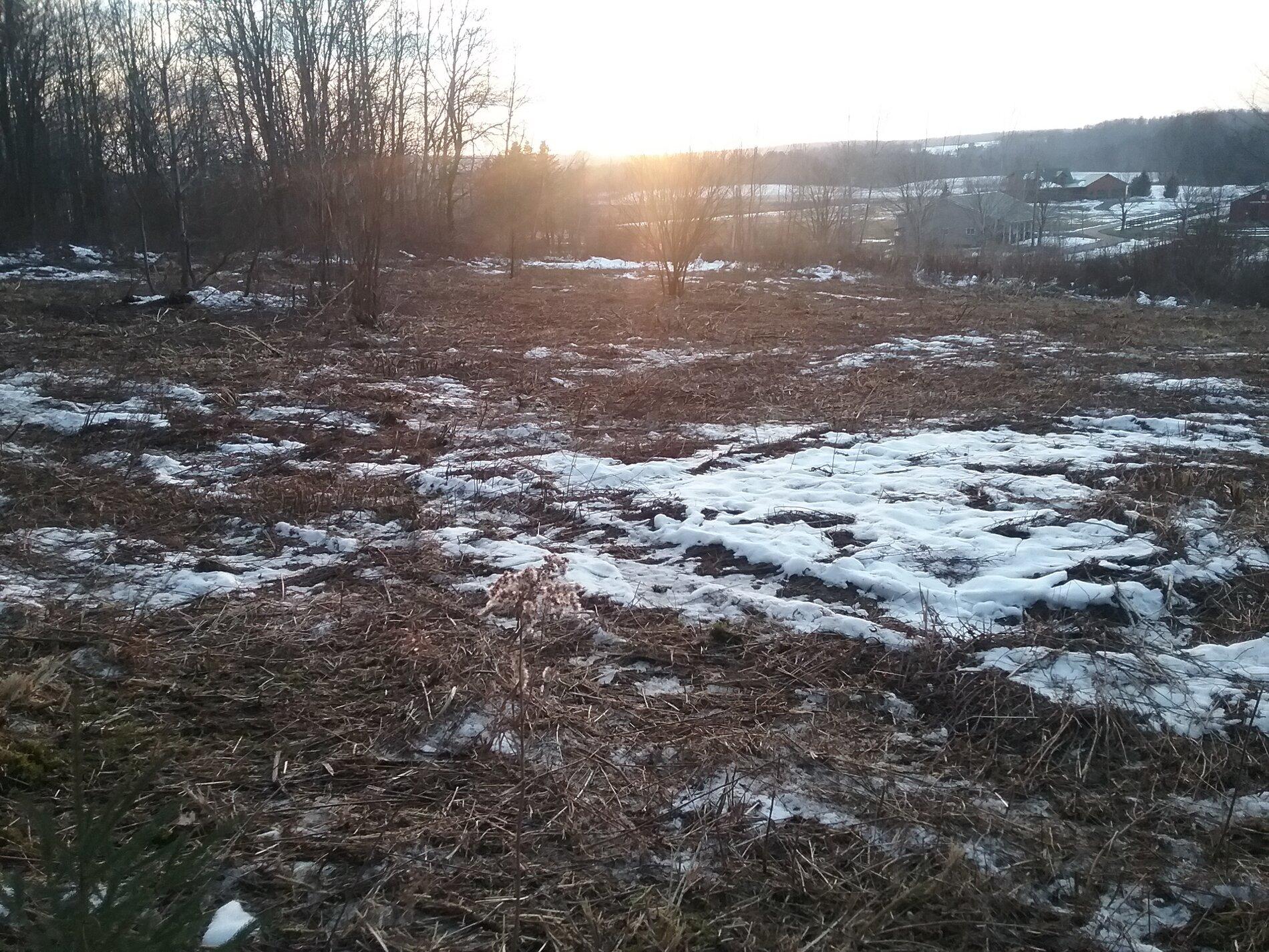 20201211_162437.jpg