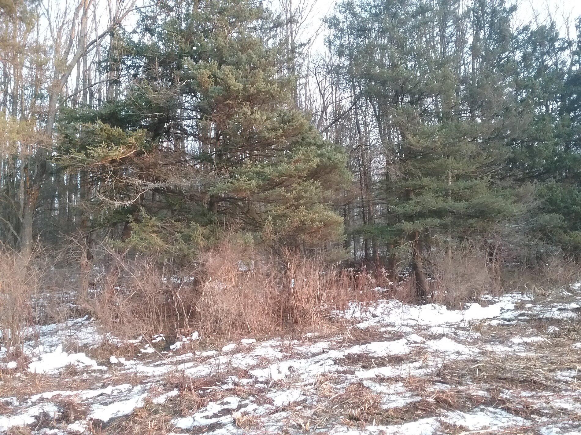 20201211_162522.jpg