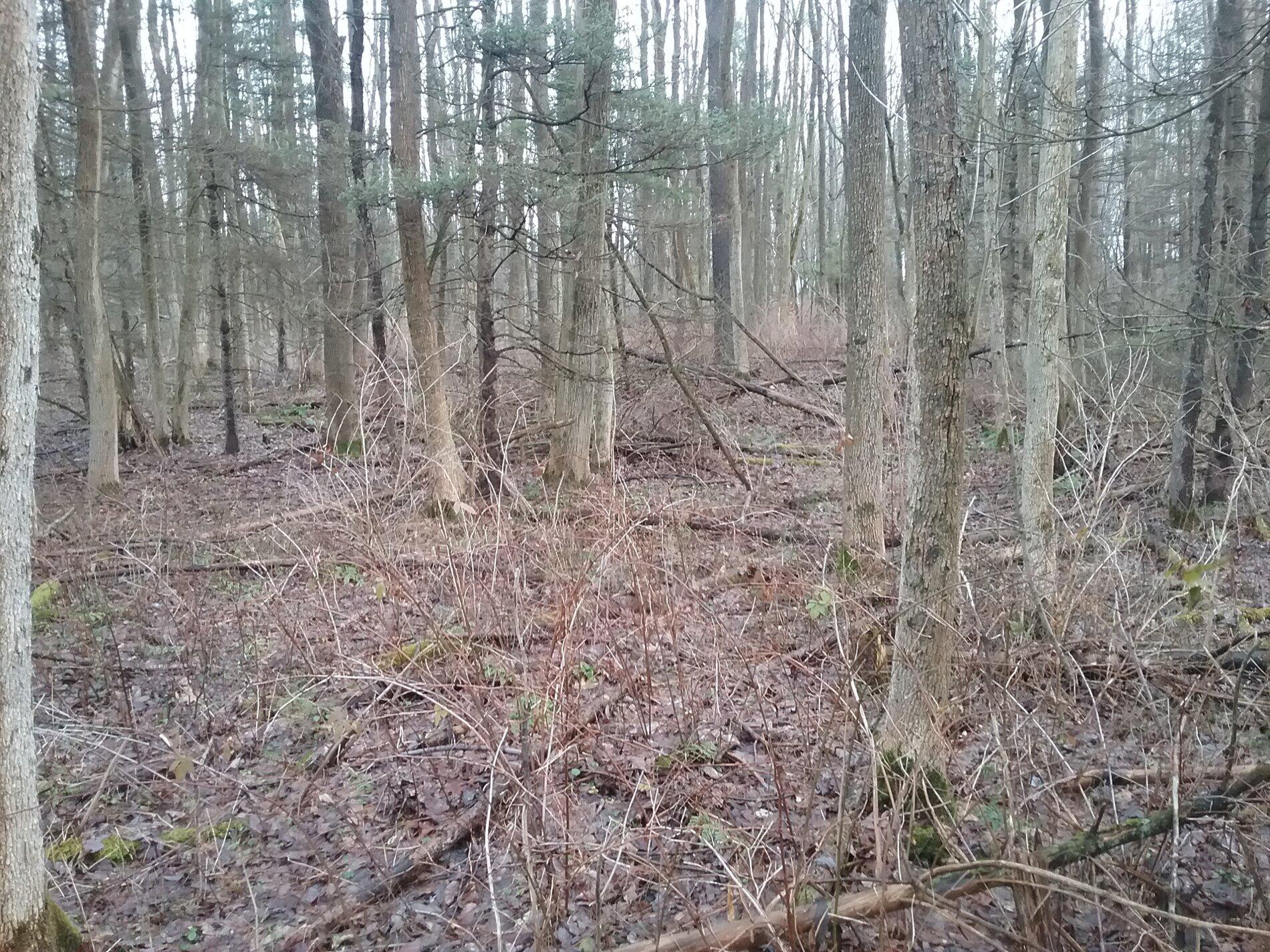 20201213_145114.jpg