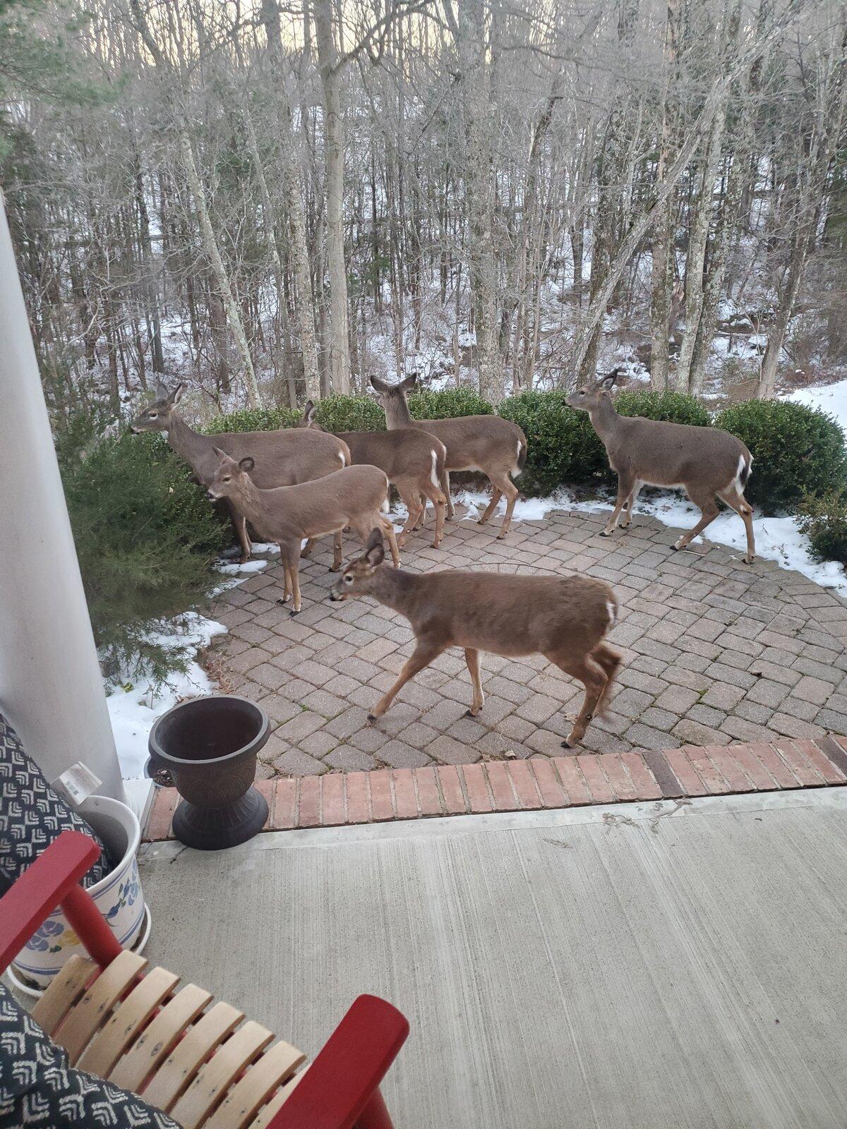 20201223_072255.jpg