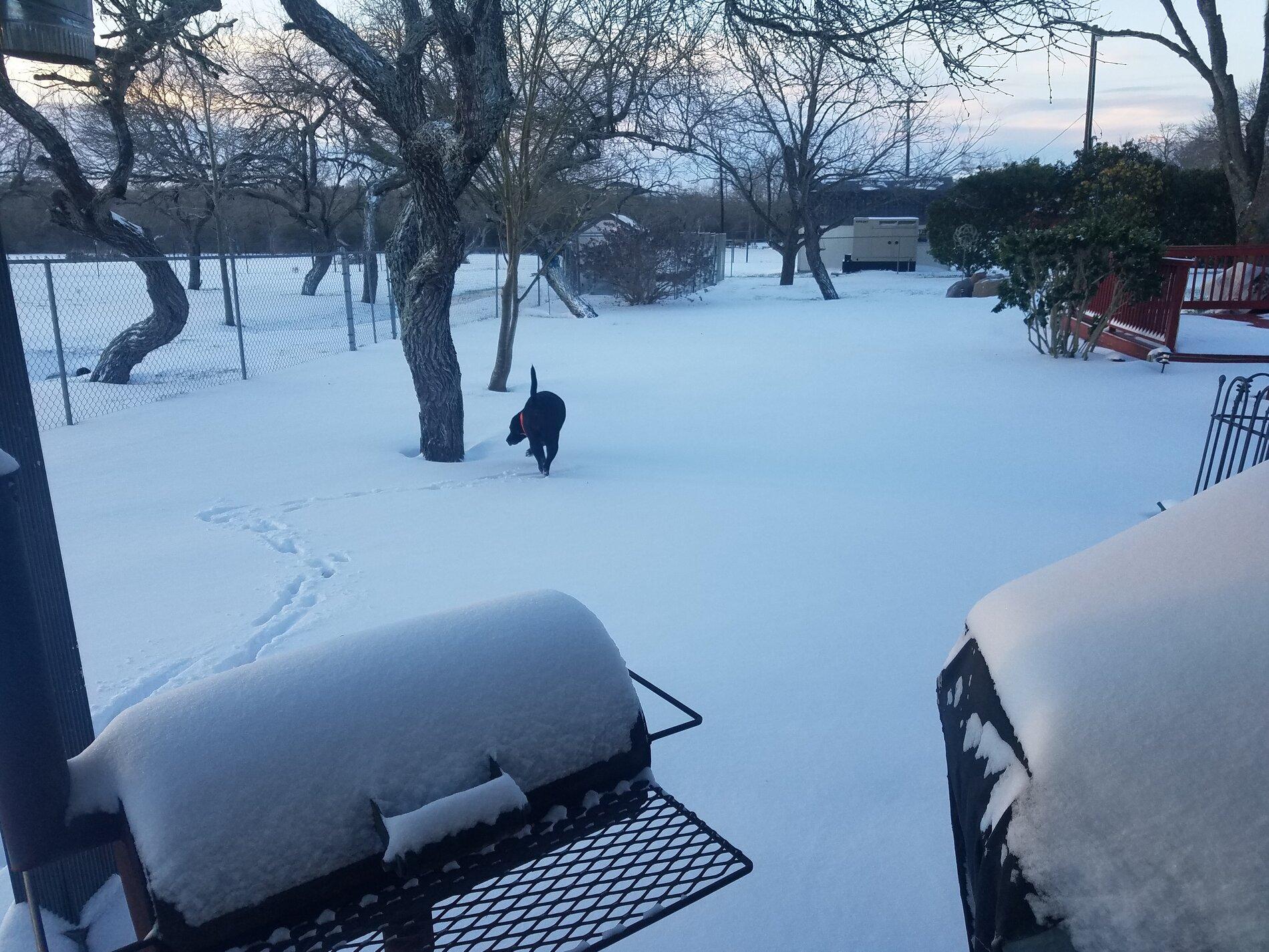 20210215_073443.jpg