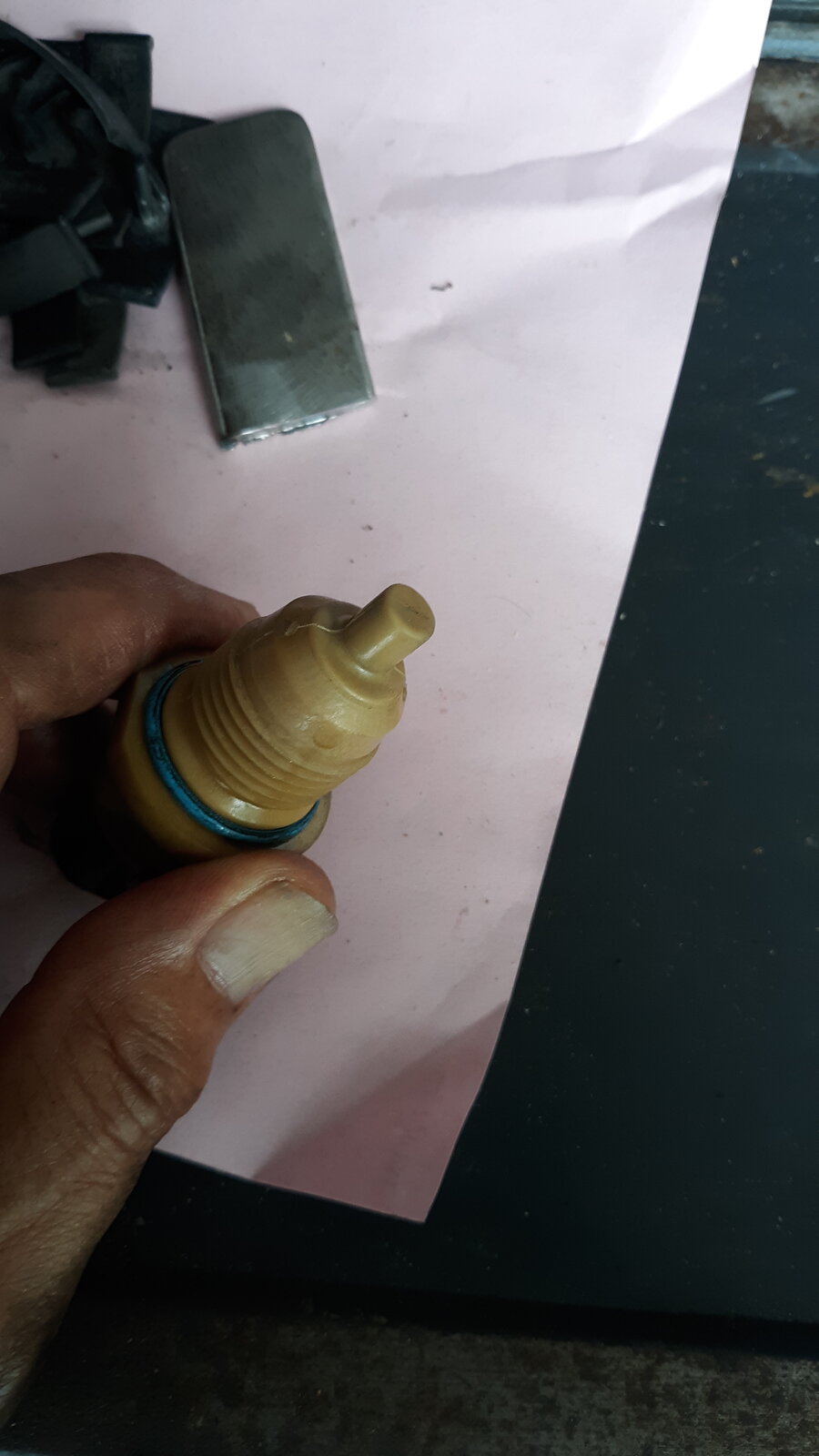 20230707_115807.jpg