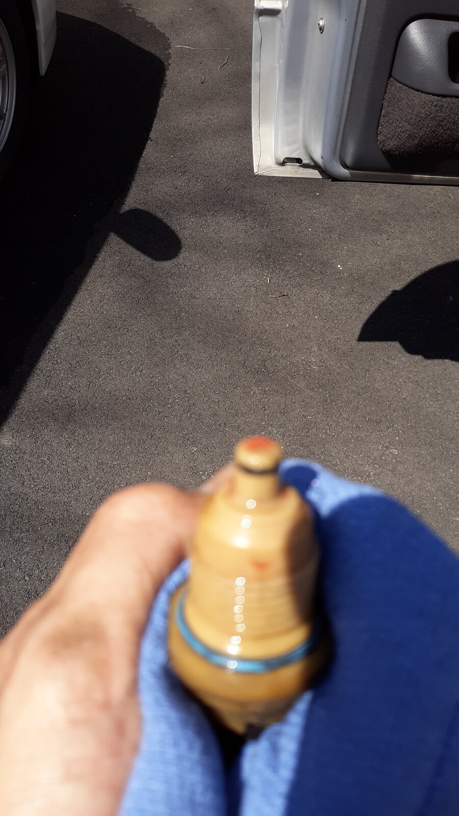 20240429_111727.jpg