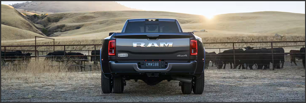 2025-GREY-3500-REAR-VIEW.jpg