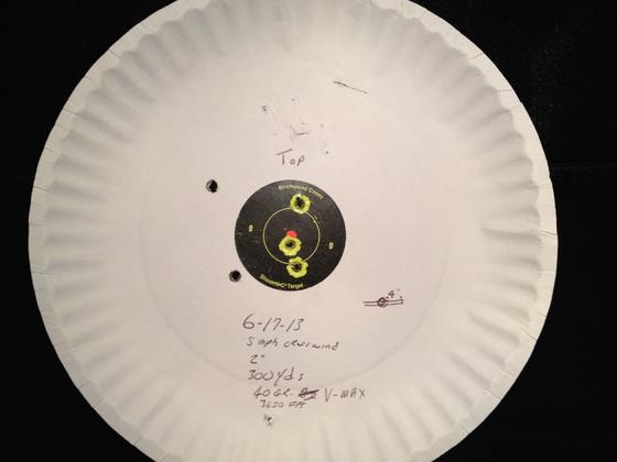 223 AXIS 300YD.jpg