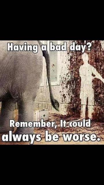 2C0AED8B-CC63-4C42-8A4A-67195195AA62.jpeg
