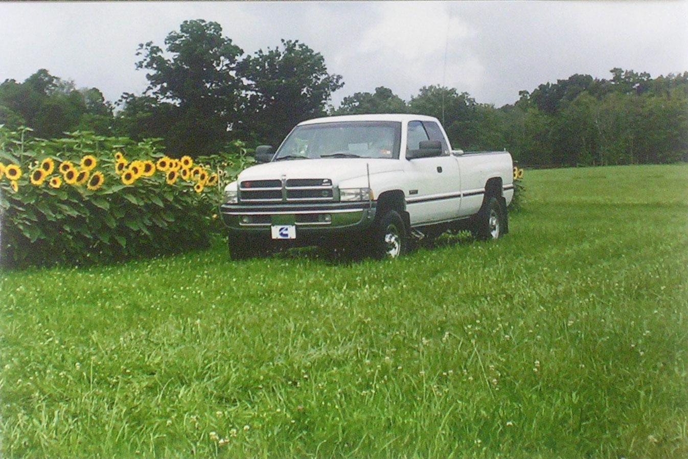 2G_Robert-Smith-WV2.jpg