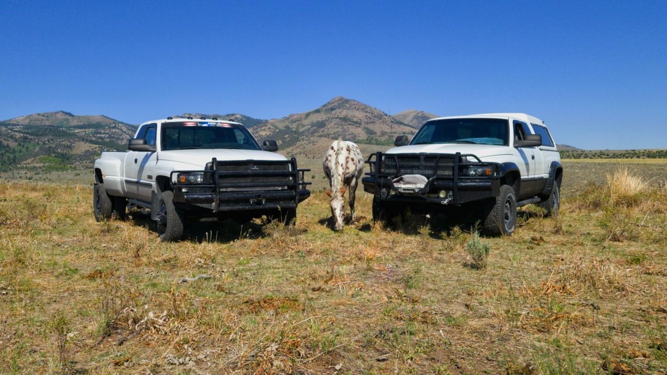 2trucks1horse_edited (1).jpeg