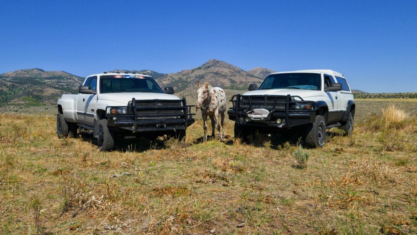2trucks1horseagain_edited.jpeg