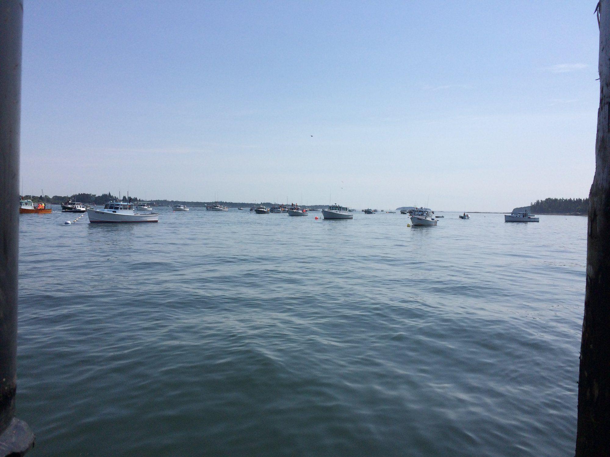3332F5E0-36AD-46D5-848D-224062B9DCB5.jpeg