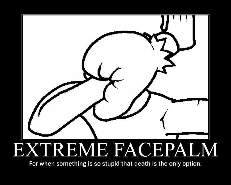 3742678-ultimate+facepalm.jpg
