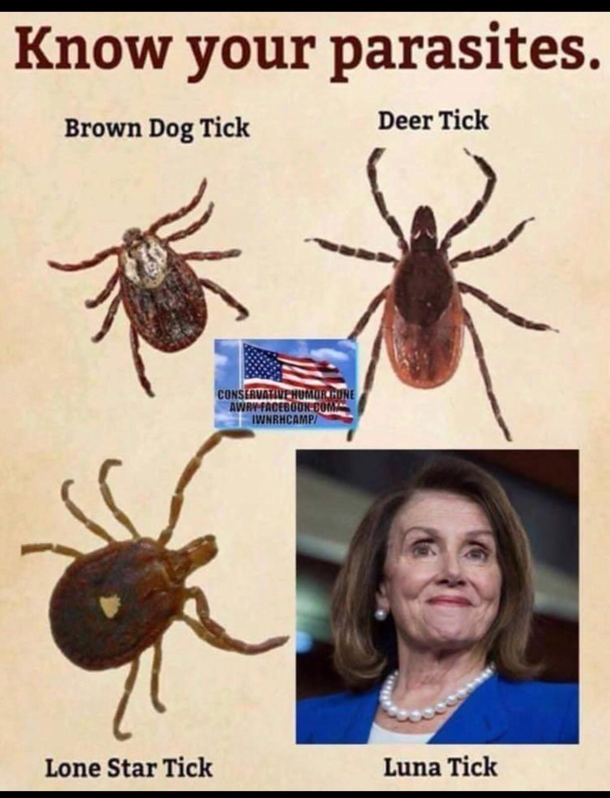 37487.jpeg