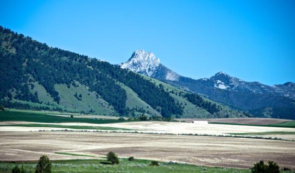 42_View_-_Version_2.jpg