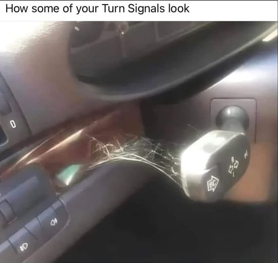 456551140_10229119710850465_5565754699487633874_n.jpg